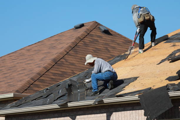 Best Roof Coating and Sealing  in Watseka, IL
