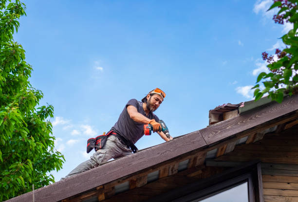 Best Gutter Installation and Repair  in Watseka, IL